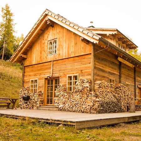 Almhuette Chalet Hirschfisch بودينسدورف المظهر الخارجي الصورة